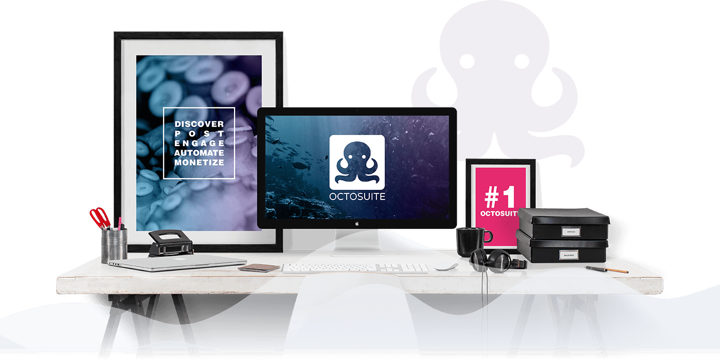OctoSuite review