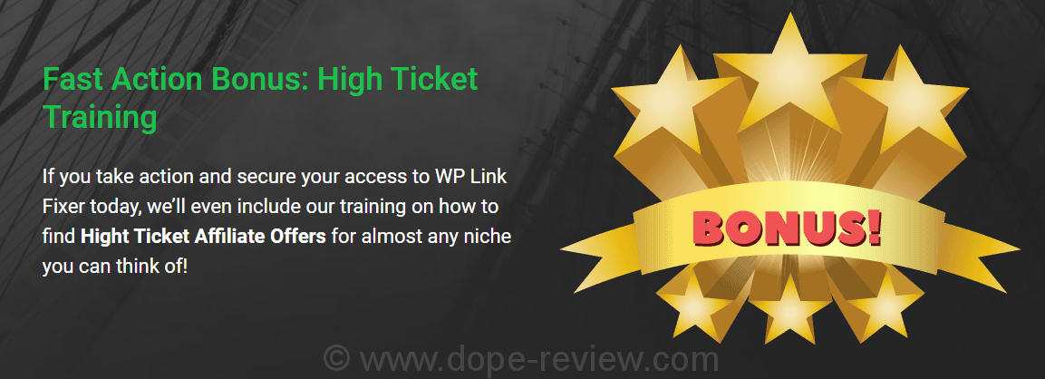 WP Link Fixer Bonus