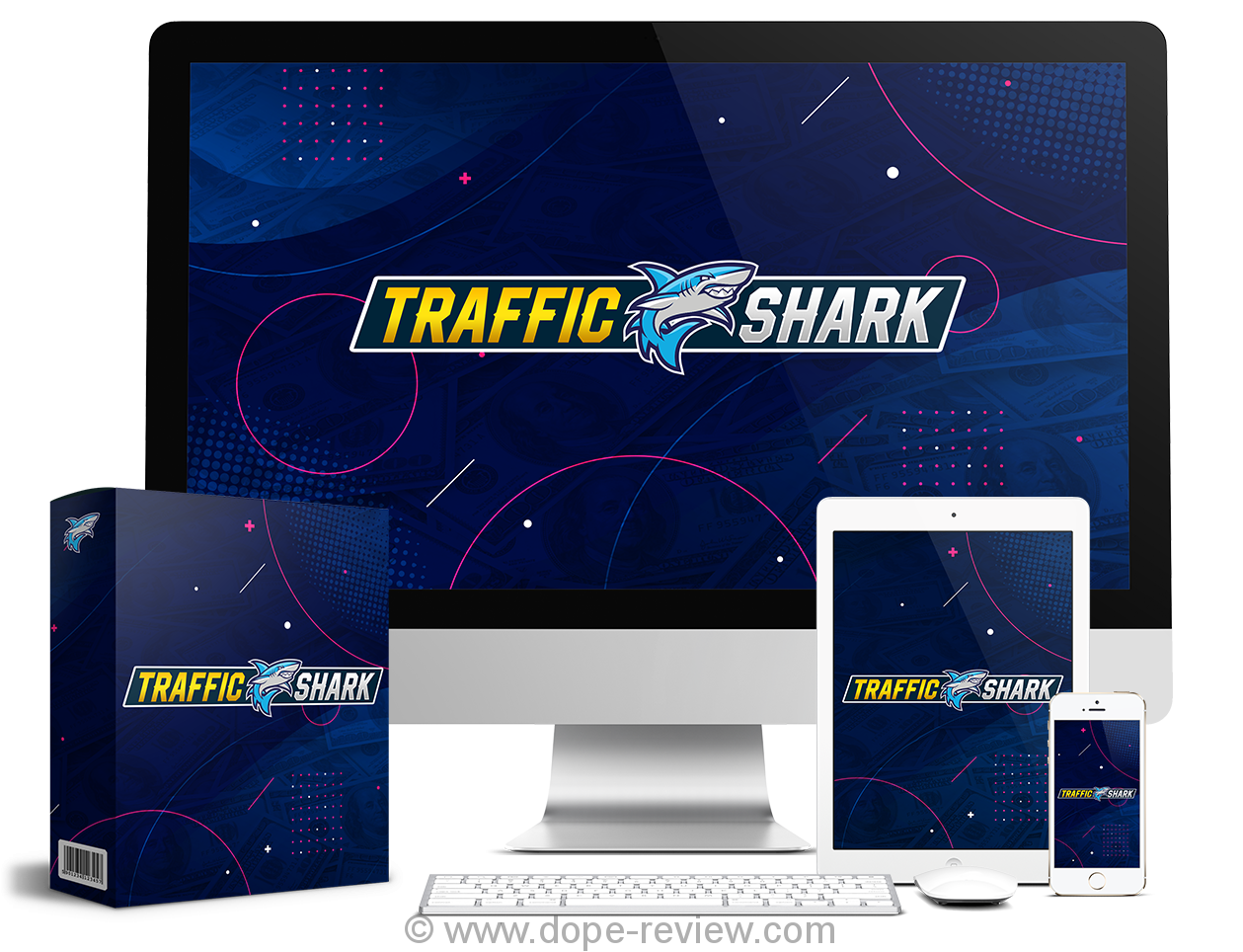 Traffic Shark System