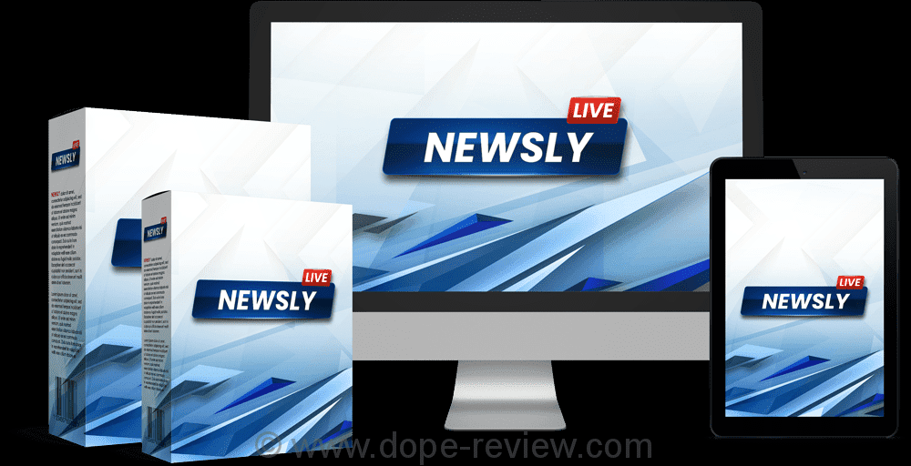 Newsly Review