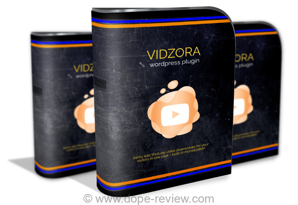 VidZora Review
