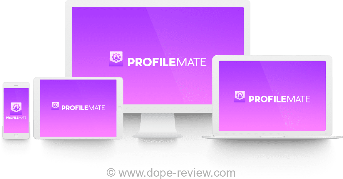 Profilemate 2023 Review