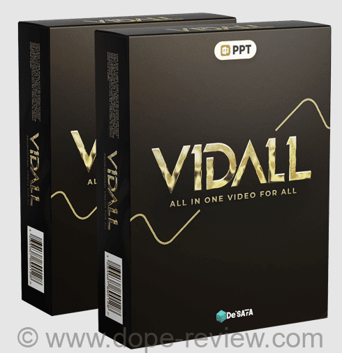 VidAll Review