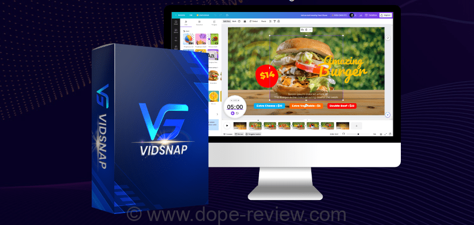 VidSnap Review