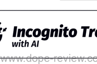 Incognito Traffic Review