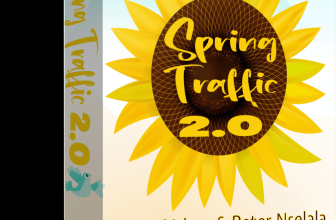 Spring Traffic 2.0 Review